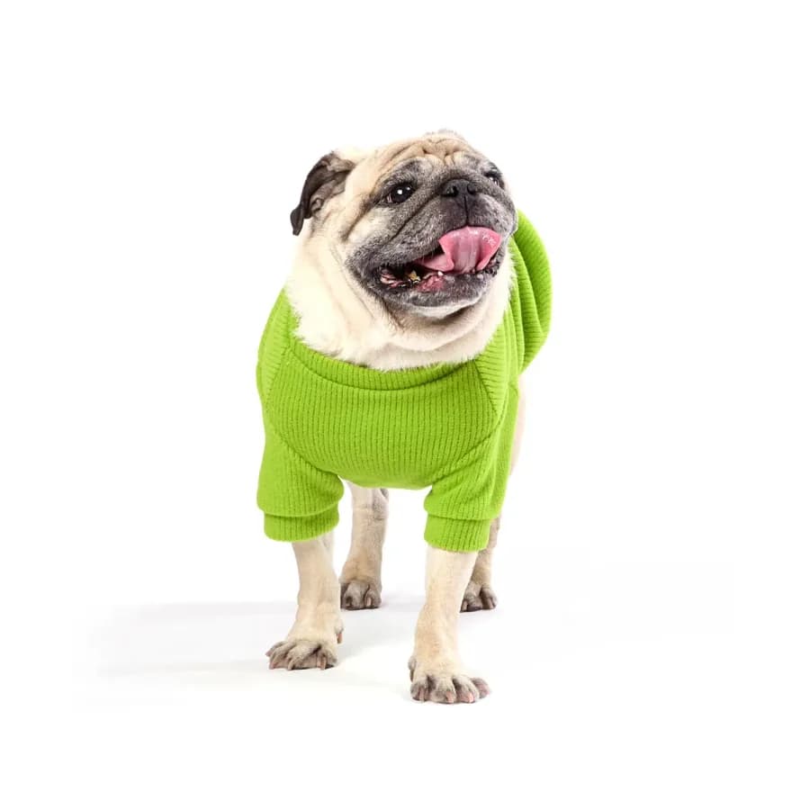 Casaco Bean para Cães e Gatos - Emporium Distripet