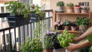 Como montar uma horta em vasos em casa