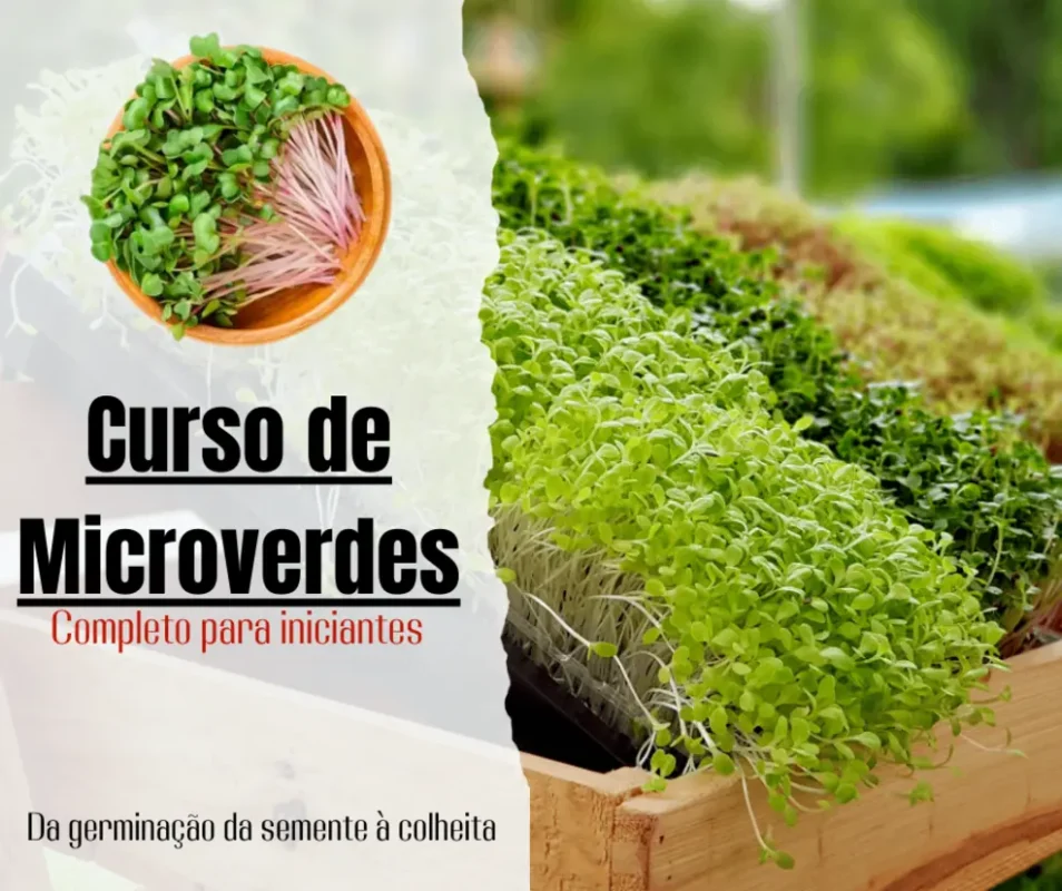 Imagem de Curso de Microverdes Bruno Palma
