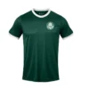 Camiseta Palmeiras 1914