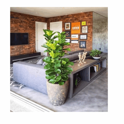Planta Artificial Ficus Lyrata Grande Decoração